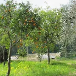 Tenuta Santa Maria * ماتيناتا