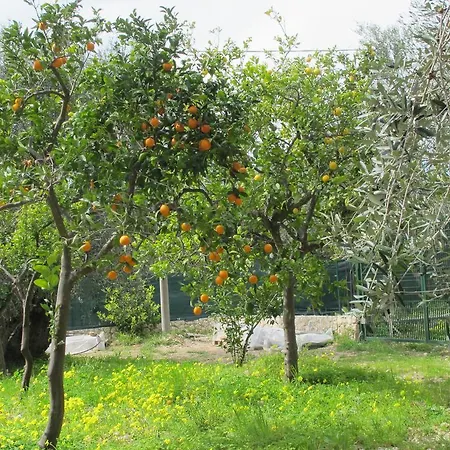 Tenuta Santa Maria * ماتيناتا